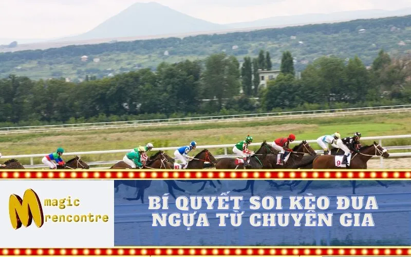 Bí Quyết Soi Kèo Đua Ngựa Từ Chuyên Gia