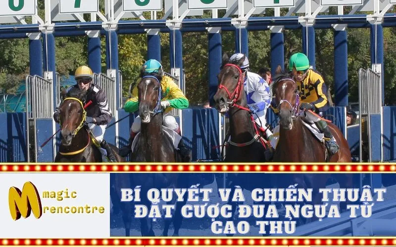 Bí Quyết và Chiến Thuật Đặt Cược Đua Ngựa Từ Cao Thủ