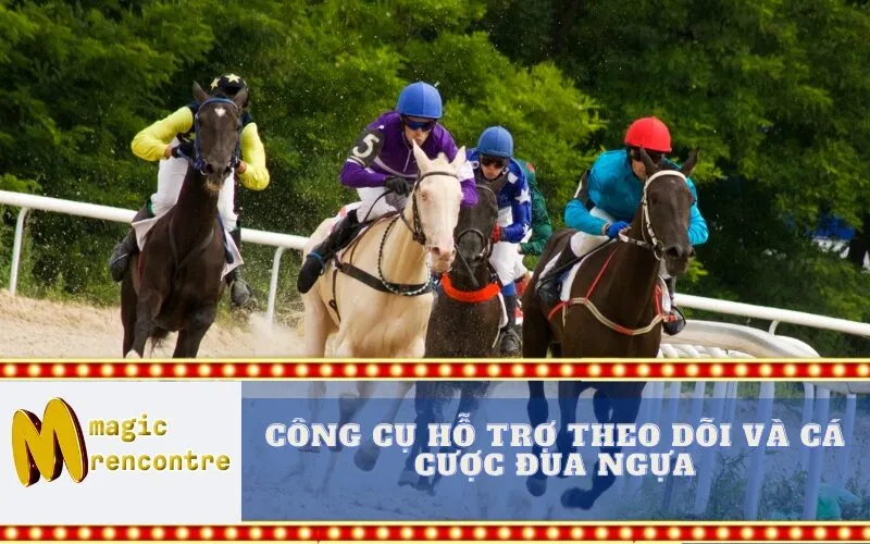 Công Cụ Hỗ Trợ Theo Dõi và Cá Cược Đua Ngựa