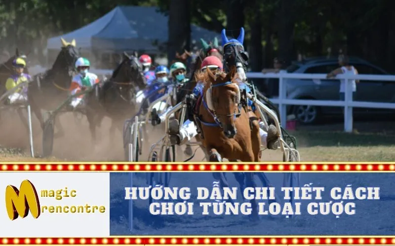 Hướng Dẫn Chi Tiết Cách Chơi Từng Loại Cược