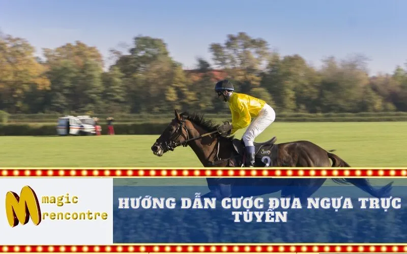 Hướng Dẫn Cược Đua Ngựa Trực Tuyến