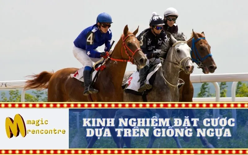 Kinh Nghiệm Đặt Cược Dựa Trên Giống Ngựa
