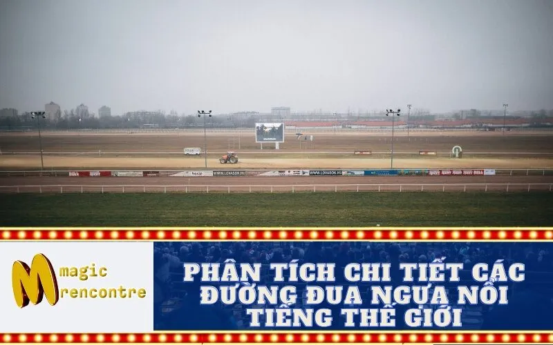 Phân Tích Chi Tiết Các Đường Đua Ngựa Nổi Tiếng Thế Giới