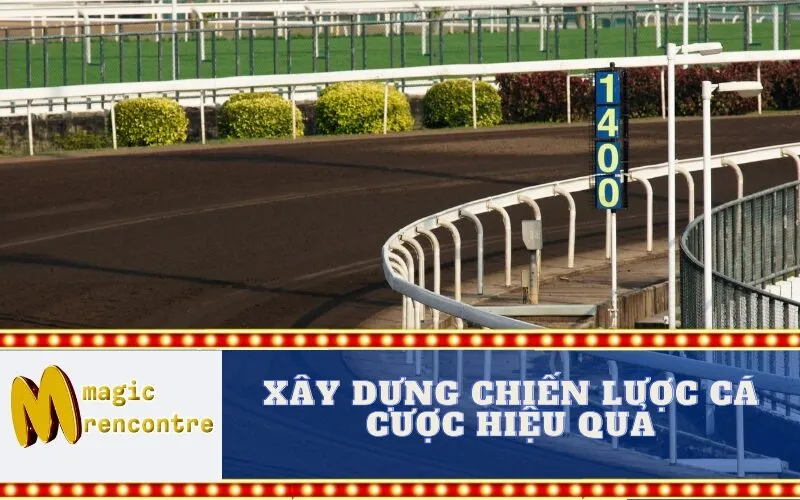 Xây dựng chiến lược cá cược hiệu quả