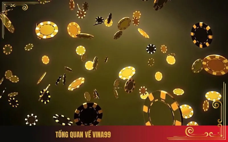 Tổng Quan Về Vina99